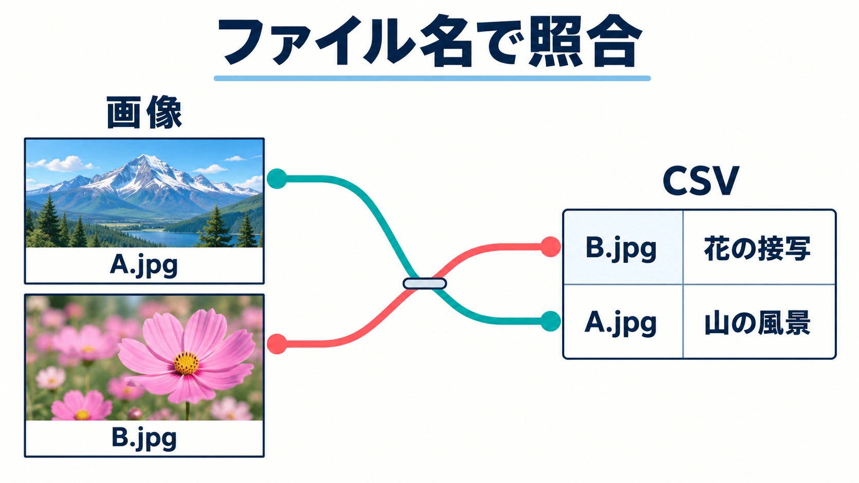 画像とCSVの並び順を逆にし交差線で同名の対応を示す