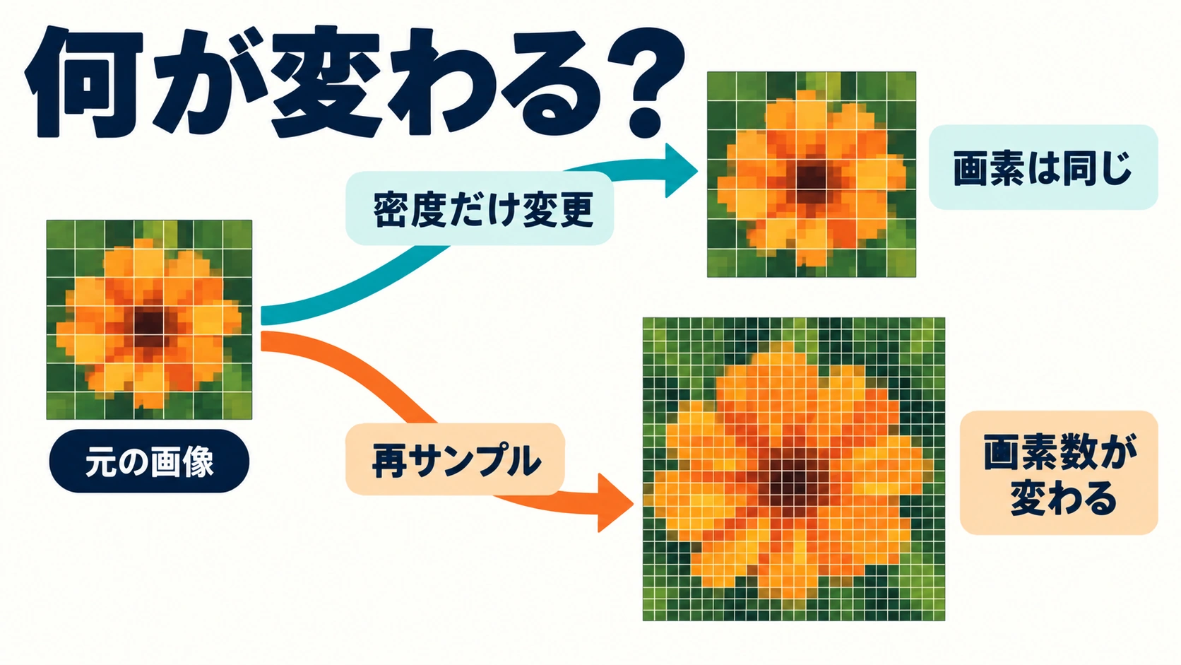 元画像から密度だけを変える経路と再サンプルする経路へ分かれ、画素数が変わるかを示す模式図
