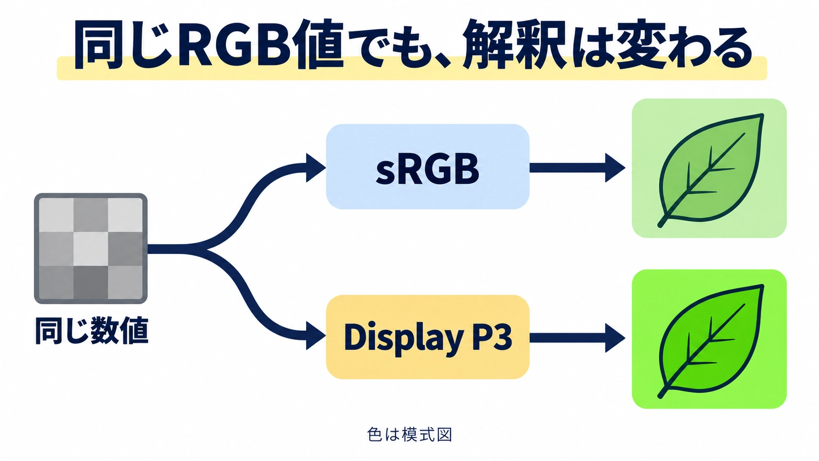 一つのRGB値からsRGBとDisplay P3へ枝分かれして異なる葉の色へ対応する関係の模式図